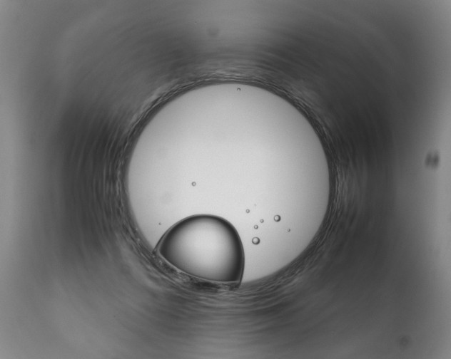 X0000111780312200907230955