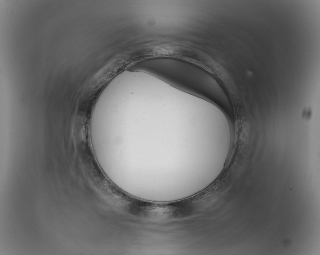 X0000111780313200907230955