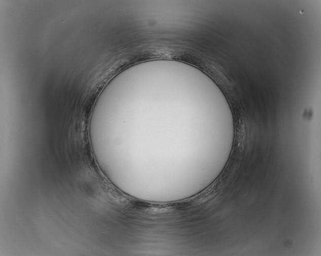 X0000111780314200907230955