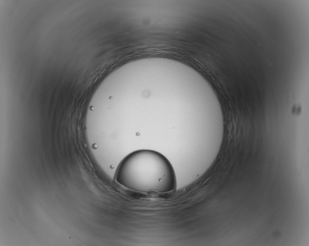 X0000111780316200907230955