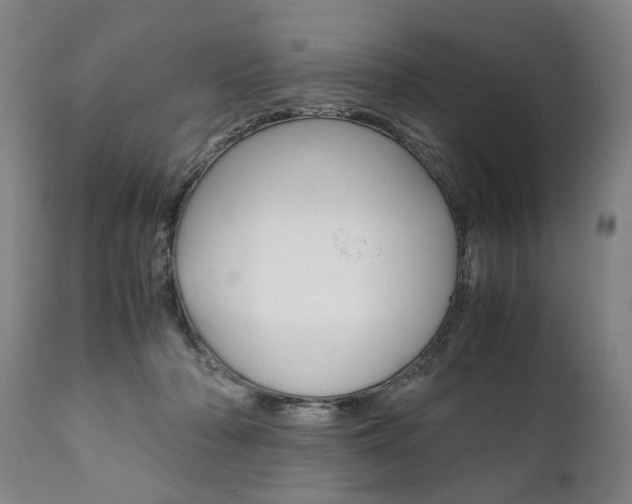 X0000111780318200907230955