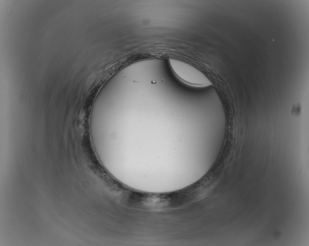 X0000111780319200907230955