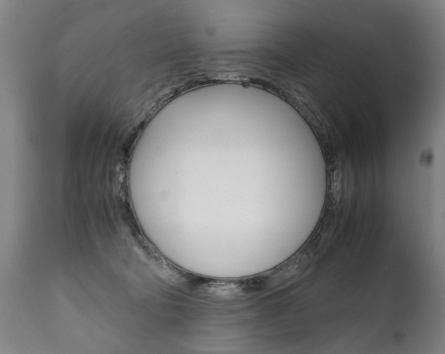 X0000111780322200907230955
