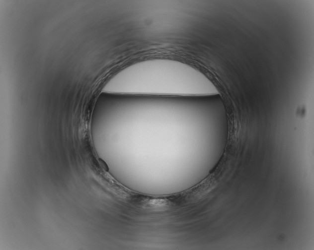 X0000111780324200907230955