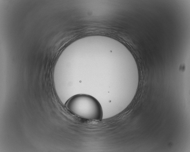 X0000111780325200907230955