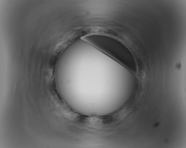 X0000111780327200907230955