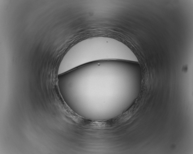 X0000111780328200907230955