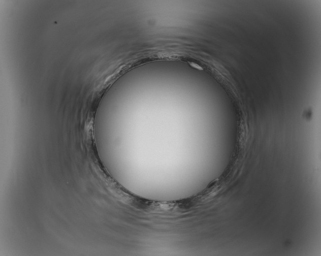 X0000111780329200907230955