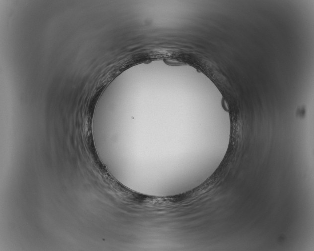 X0000111780331200907230955