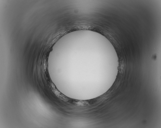 X0000111780334200907230955