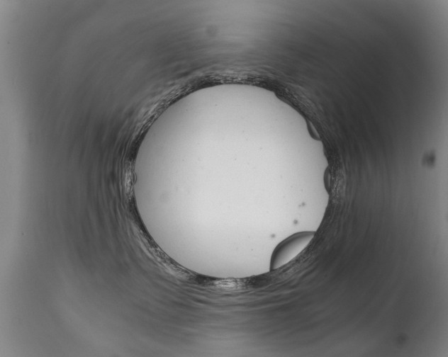 X0000111780335200907230955