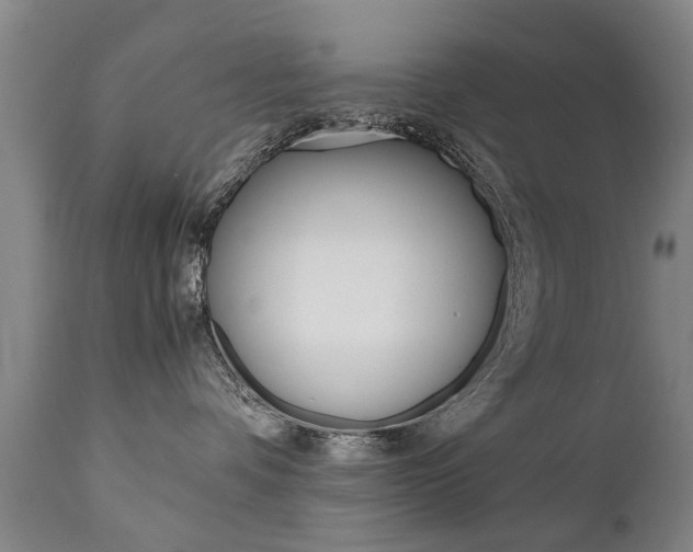 X0000111780336200907230955