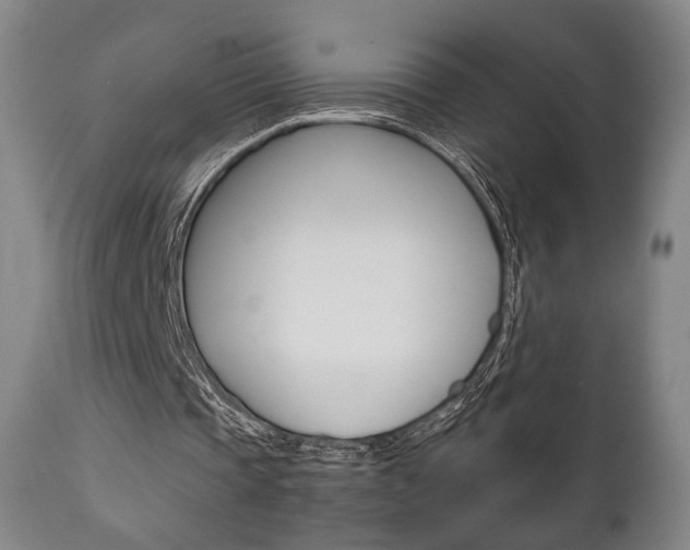 X0000111780337200907230954