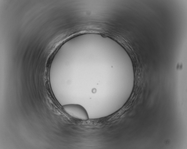 X0000111780338200907230954
