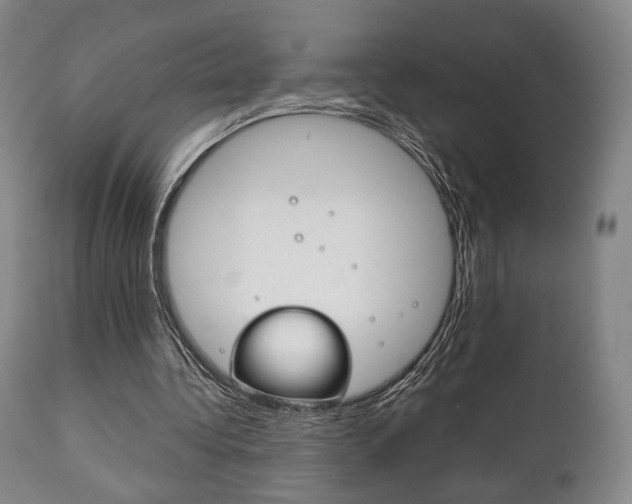 X0000111780340200907230954