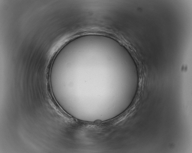 X0000111780341200907230954
