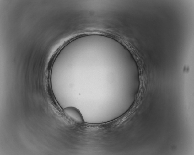 X0000111780342200907230954