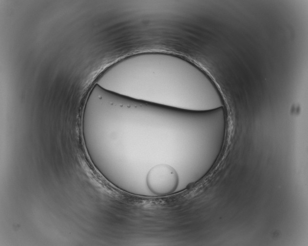 X0000111780345200907230954