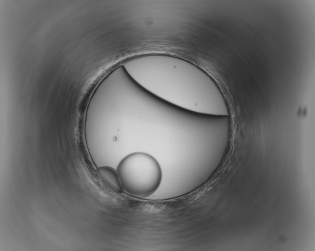 X0000111780346200907230954