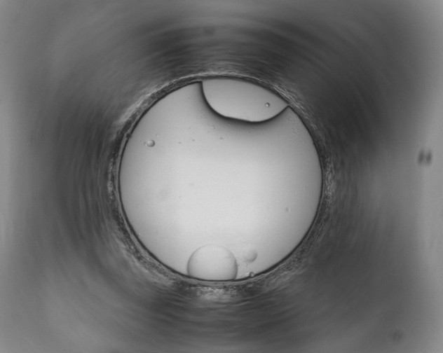 X0000111780347200907230954