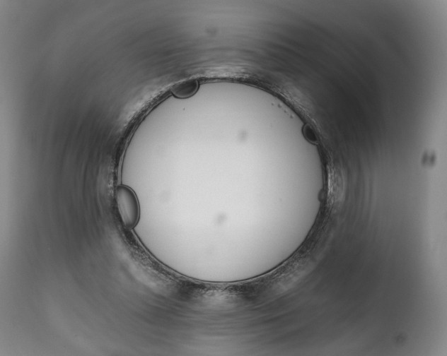 X0000111780348200907230954