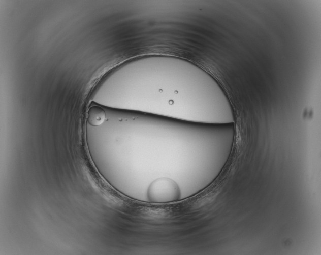 X0000111780349200907230954