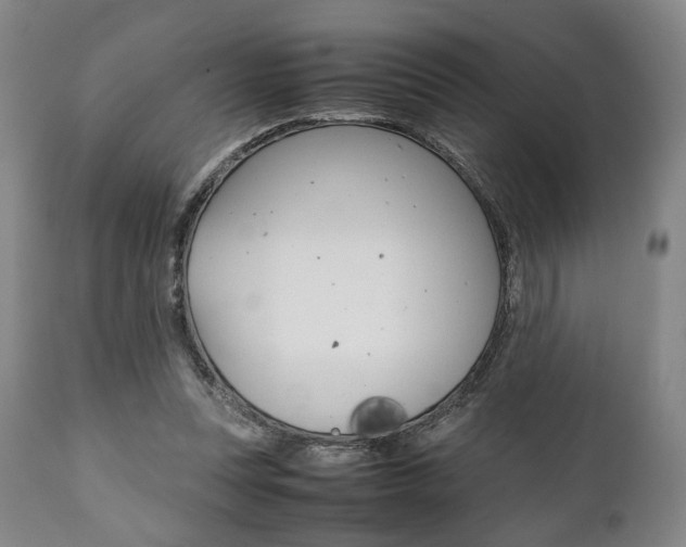 X0000111780351200907230954