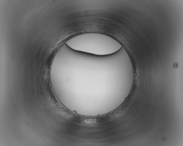 X0000111780355200907230954