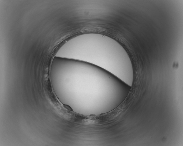 X0000111780356200907230954