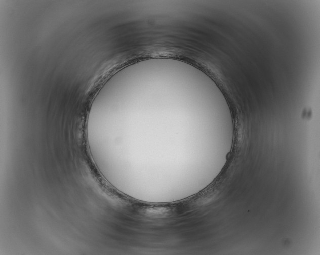 X0000111780357200907230954
