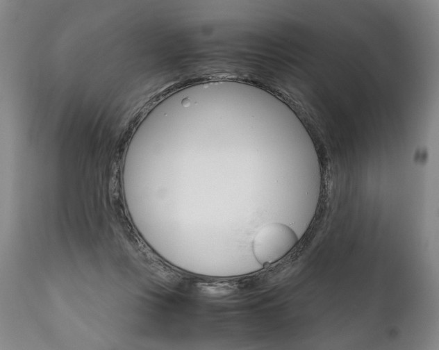 X0000111780359200907230954