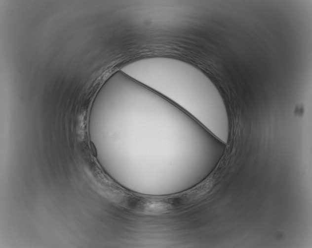 X0000111780360200907230954