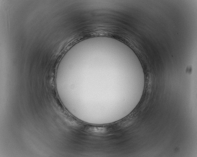 X0000111780361200907230954