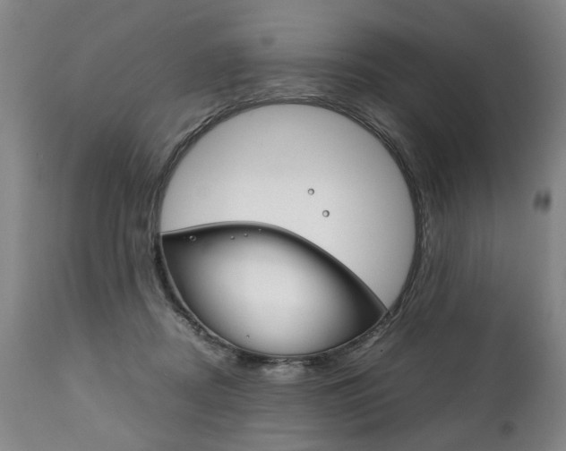X0000111780362200907230954