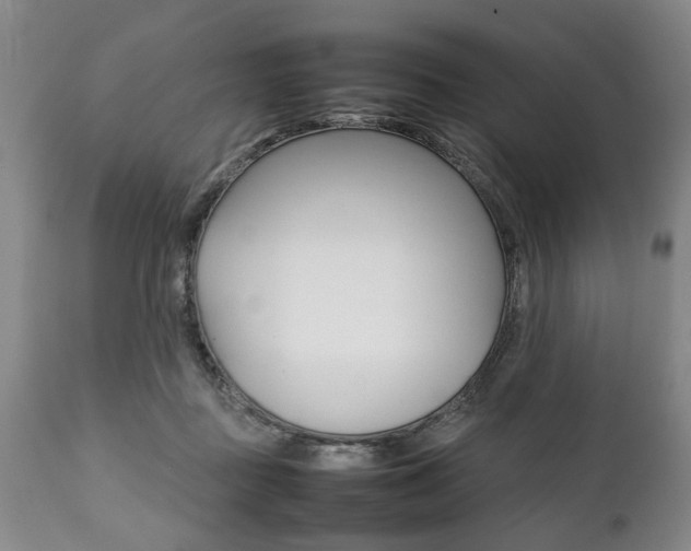 X0000111780363200907230955