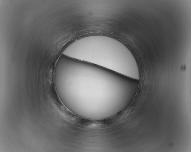 X0000111780364200907230955