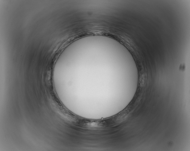 X0000111780365200907230955