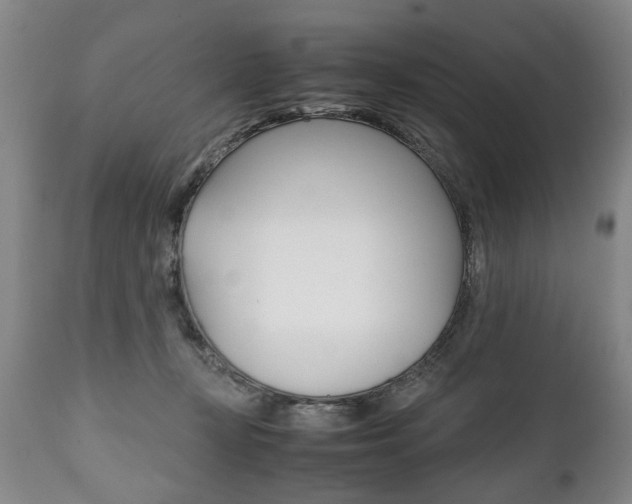 X0000111780367200907230955