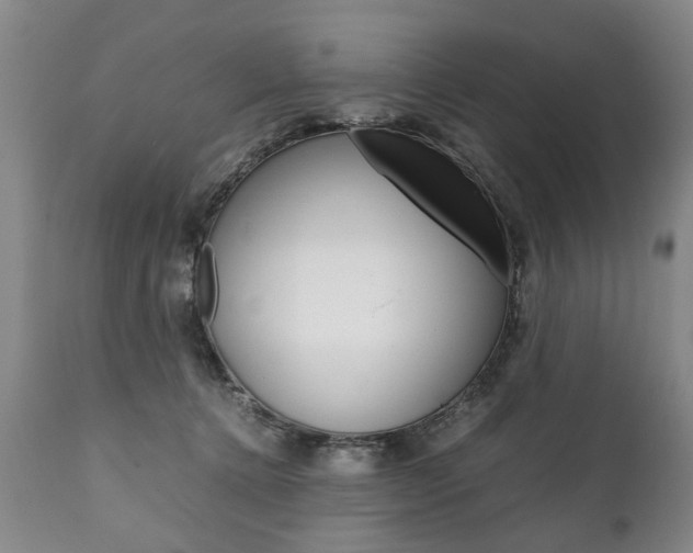 X0000111780368200907230955