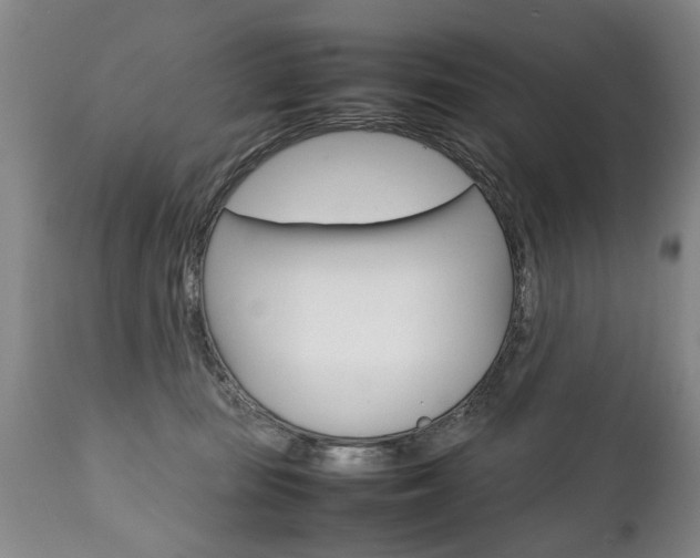 X0000111780371200907230955