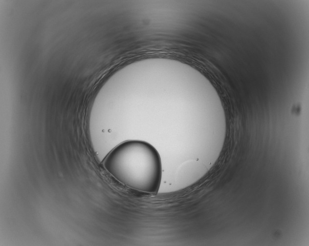 X0000111780372200907230955