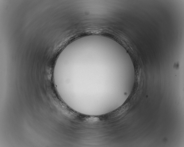 X0000111780374200907230955