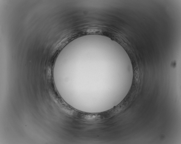 X0000111780375200907230955