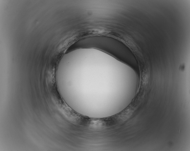 X0000111780376200907230955