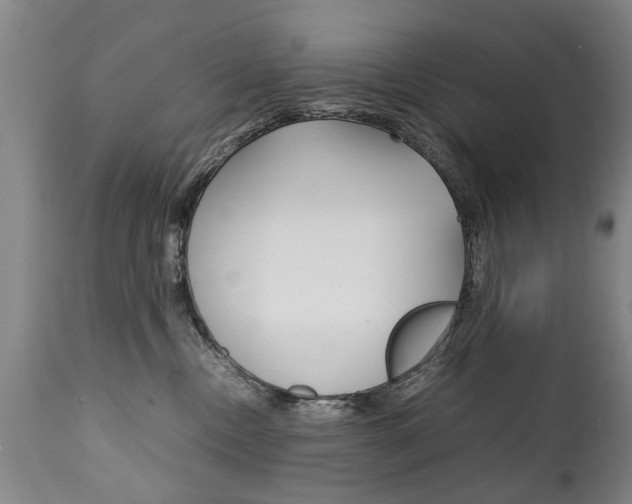 X0000111780378200907230955