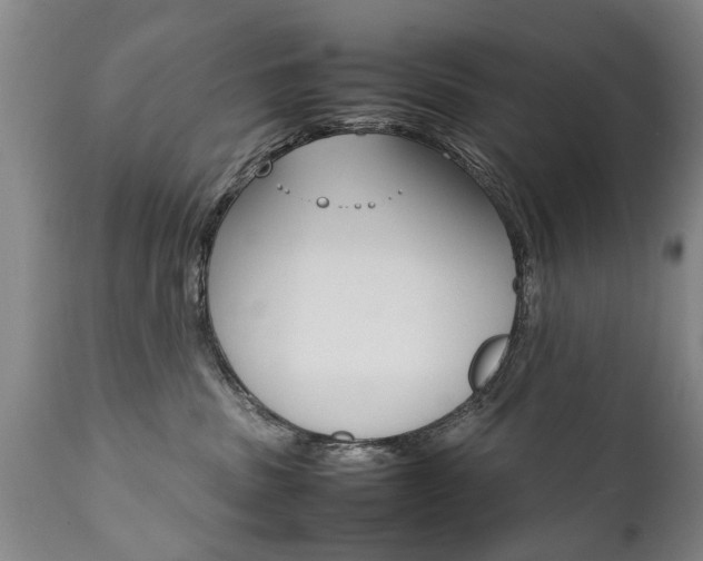 X0000111780379200907230955