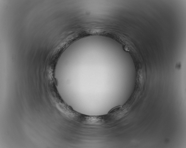 X0000111780380200907230955