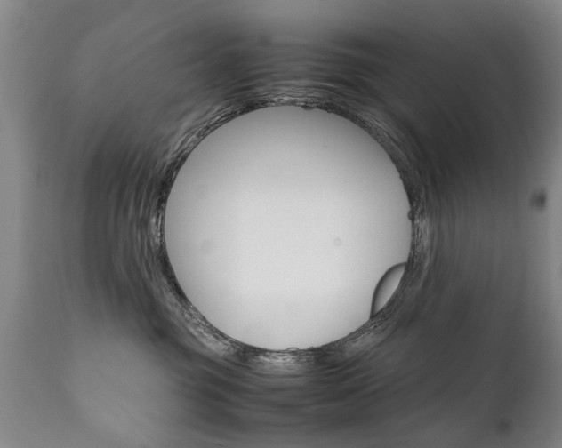 X0000111780381200907230955