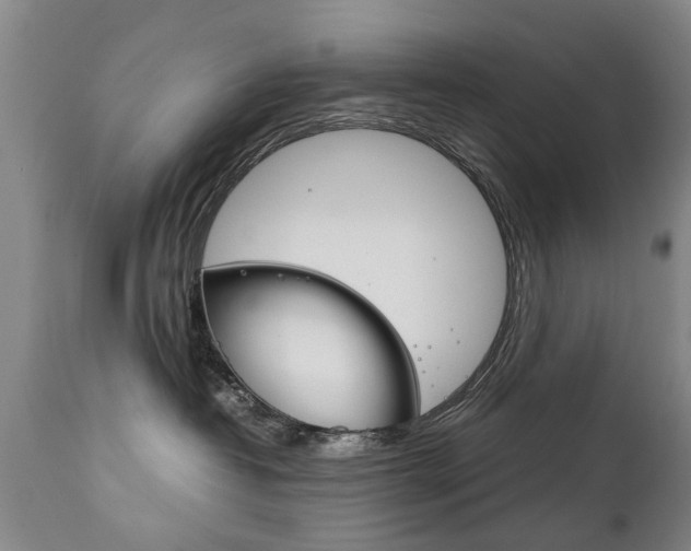 X0000111780382200907230955