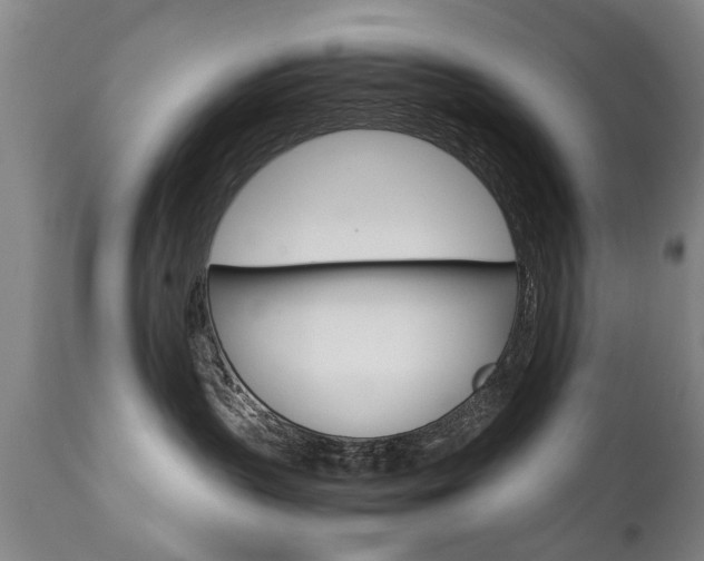 X0000111780383200907230955